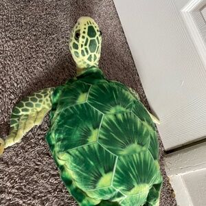 Turtle stuffed animal
